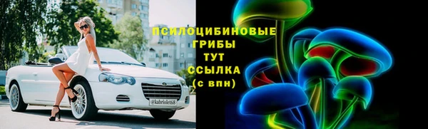 PSILOCYBIN Семилуки