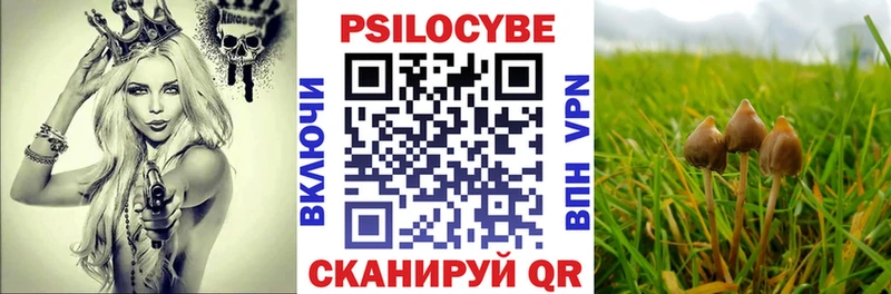 Псилоцибиновые грибы Magic Shrooms где купить Курильск